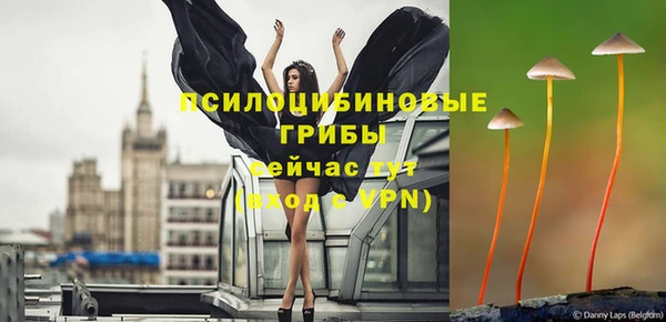 мяу мяу мука Балабаново